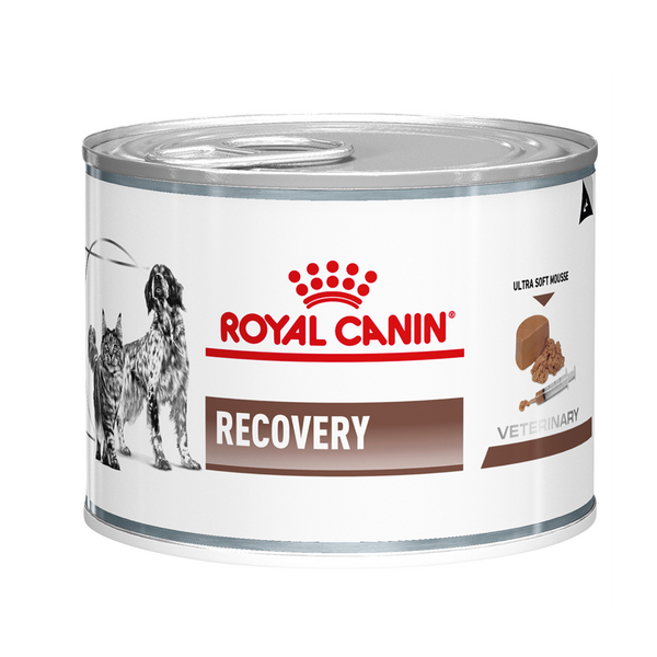 Royal canin recovery can deals