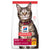 Hill's Science Diet Adult Dry Cat Food