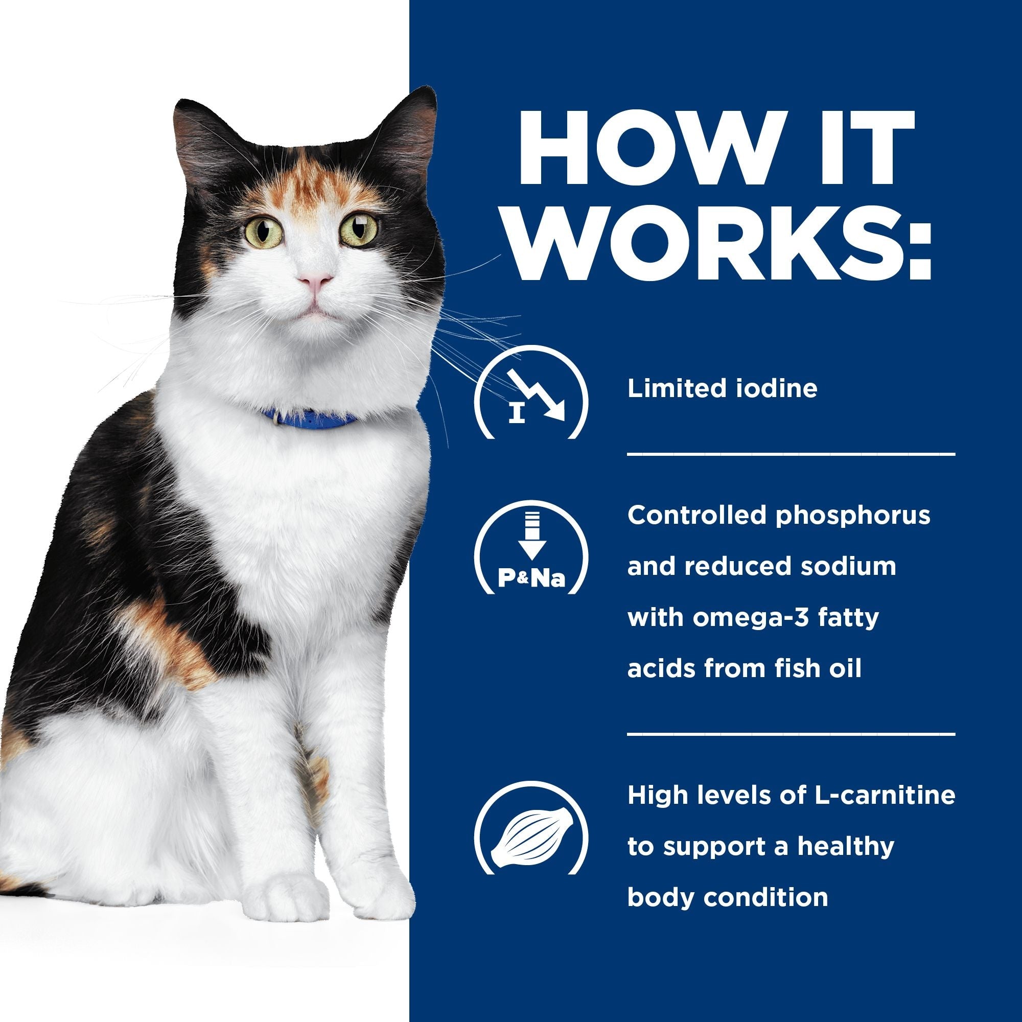 Hill s Prescription Diet Feline y d Thyroid Care x 24 Cans Vets