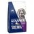 Advance Mature Dog Large Plus Chicken Dry Food