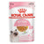 Royal Canin Kitten Chunks in Jelly Wet Cat Food 85g Pouches