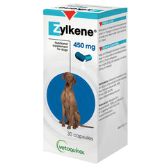 Travel Products for Dogs - Vet Recommended