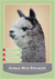 Wombaroo Alpaca Milk Replacer