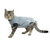 Kruuse Buster Body Suit EasyGo for Cats