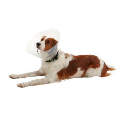 Kruuse Buster Elizabethan Clic Collar Vets Love Pets