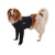 Kruuse Buster Body Sleeves, Front Legs