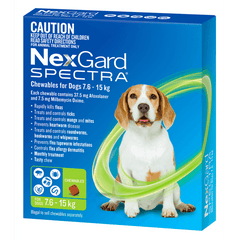 Broad-Spectrum Parasite Protection - All-in-One Treatments for Dogs