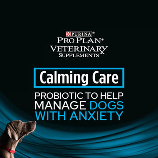 Calming care probiotic 2024 supplement